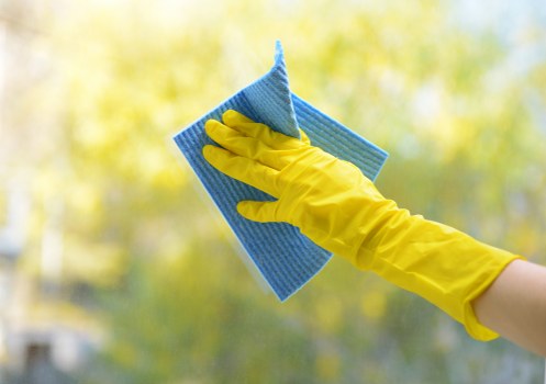 Carpet cleaning technician assessing fibers and applying treatment