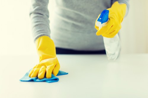 Deep cleaning treatment for pet odours in East Sheen homes