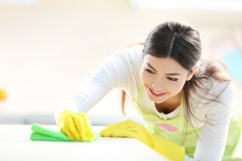 Professional sofa cleaning in an East Sheen living room